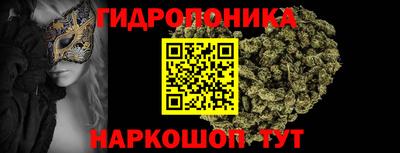 стафф Краснознаменск