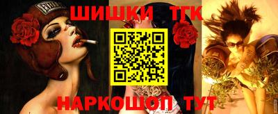 стафф Краснознаменск