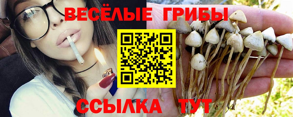 Новокуйбышевск  Псилоцибиновые грибы MAGIC MUSHROOMS  Вход с VPN 